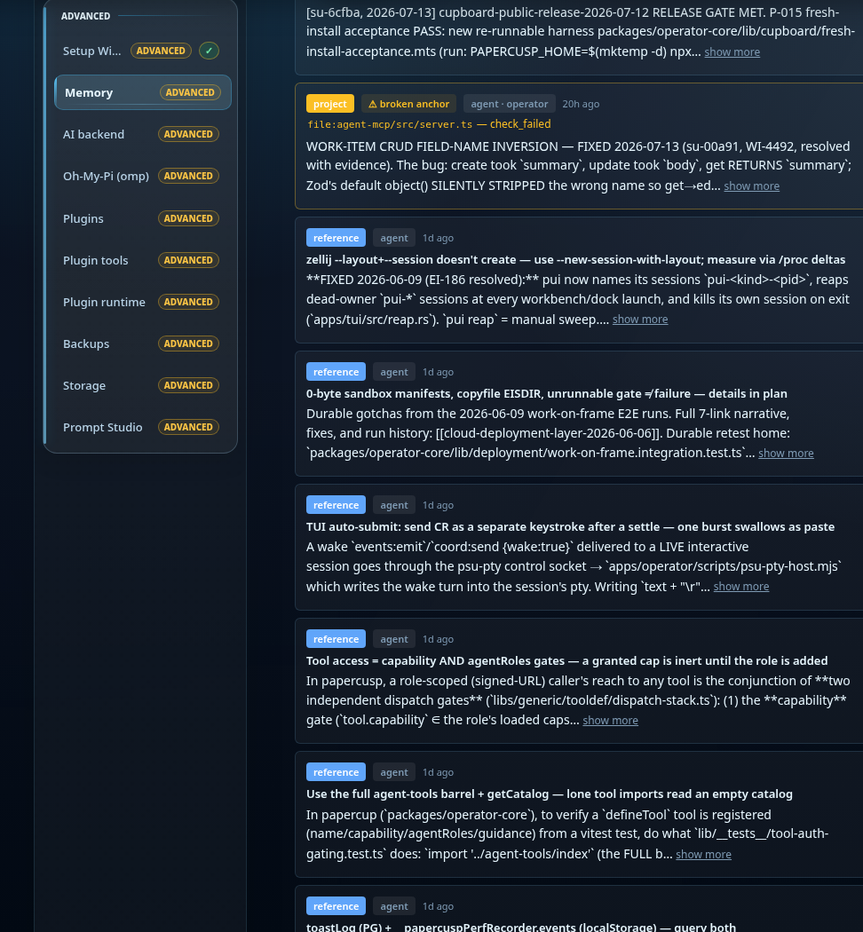 Real memory entries with their type tags — project, reference — origin badges, and anchor-audit flags